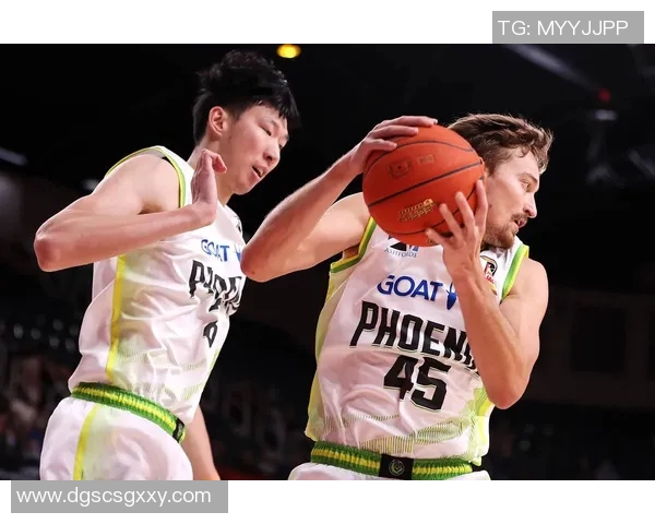 场均16.8分！NBL老鹰官方：哈维今日复出对阵跳伞蚁